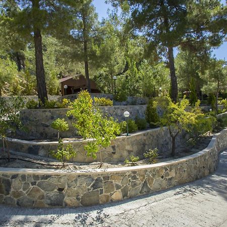 Ricky Chalet Near Troodos Spilia Bagian luar foto