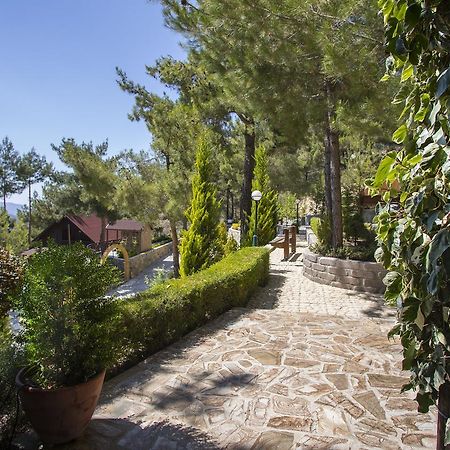 Ricky Chalet Near Troodos Spilia Bagian luar foto