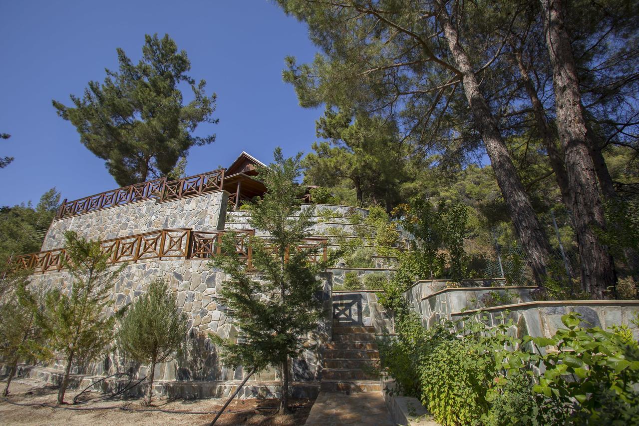Ricky Chalet Near Troodos Spilia Bagian luar foto