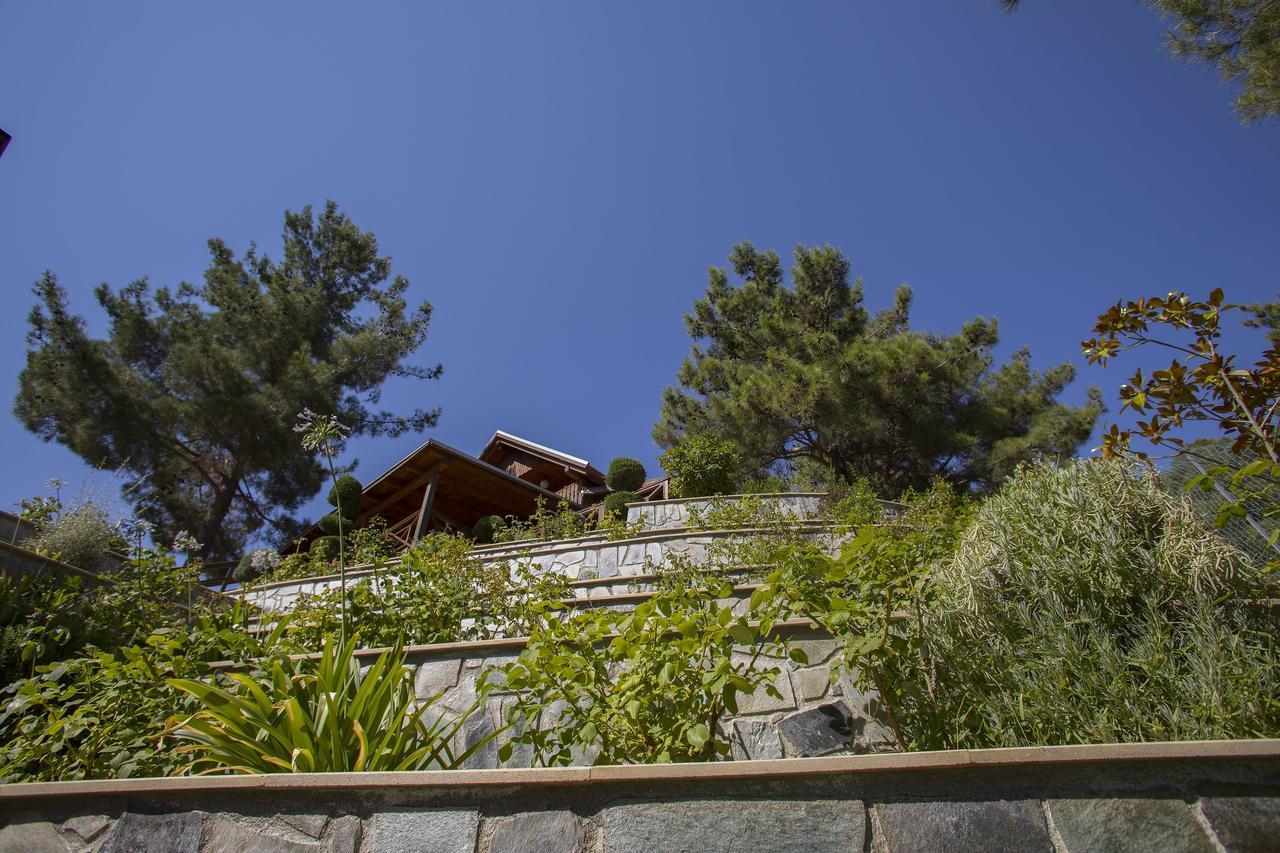 Ricky Chalet Near Troodos Spilia Bagian luar foto