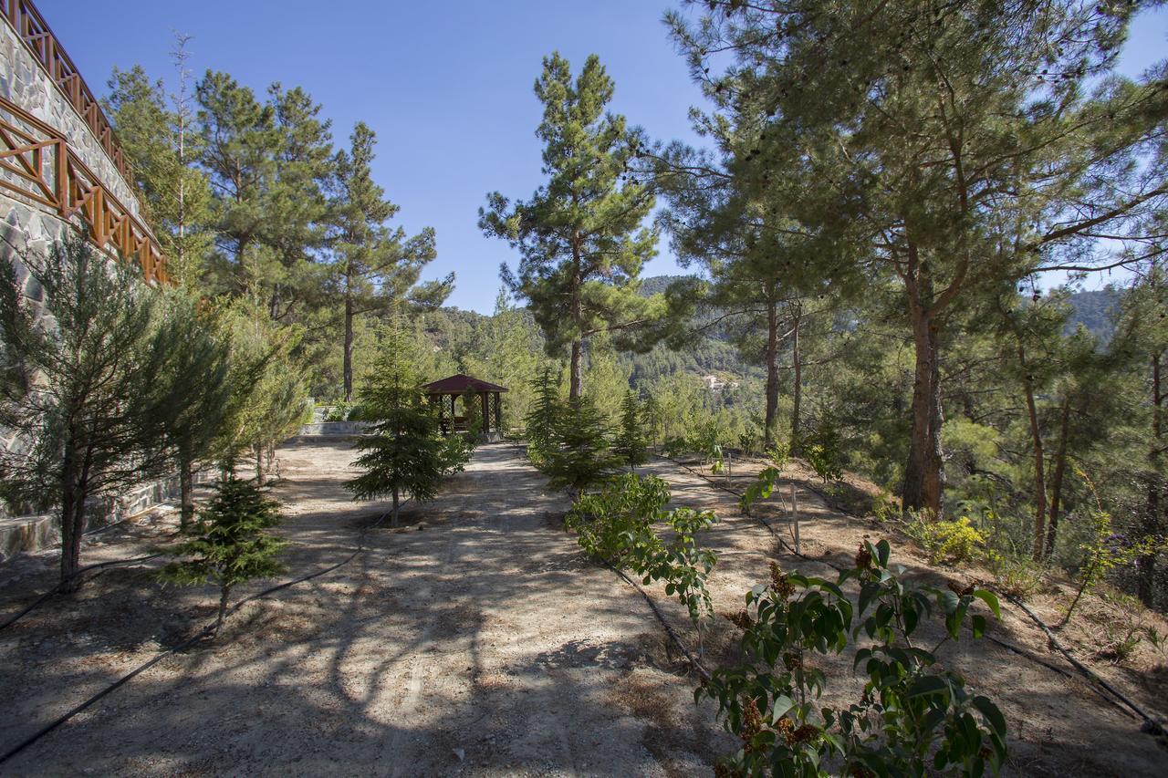 Ricky Chalet Near Troodos Spilia Bagian luar foto