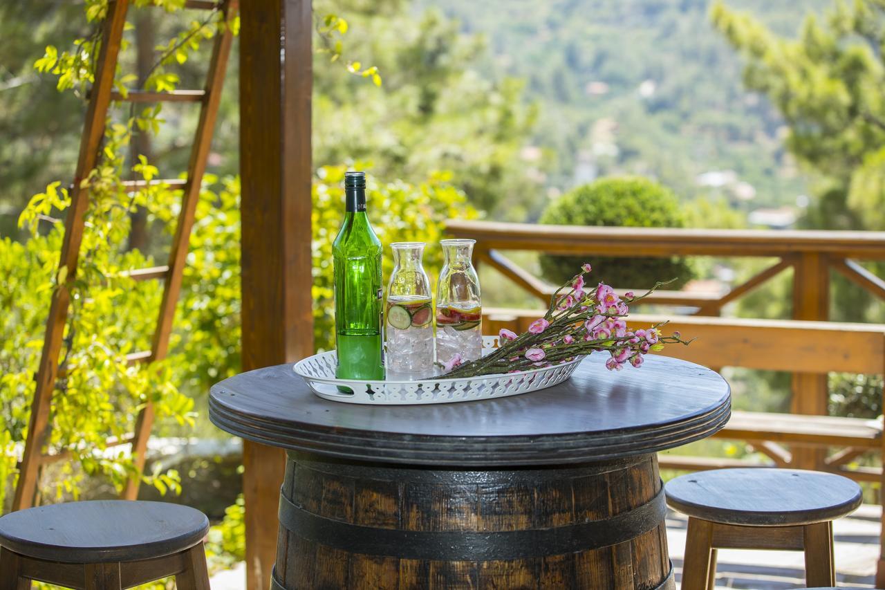 Ricky Chalet Near Troodos Spilia Bagian luar foto