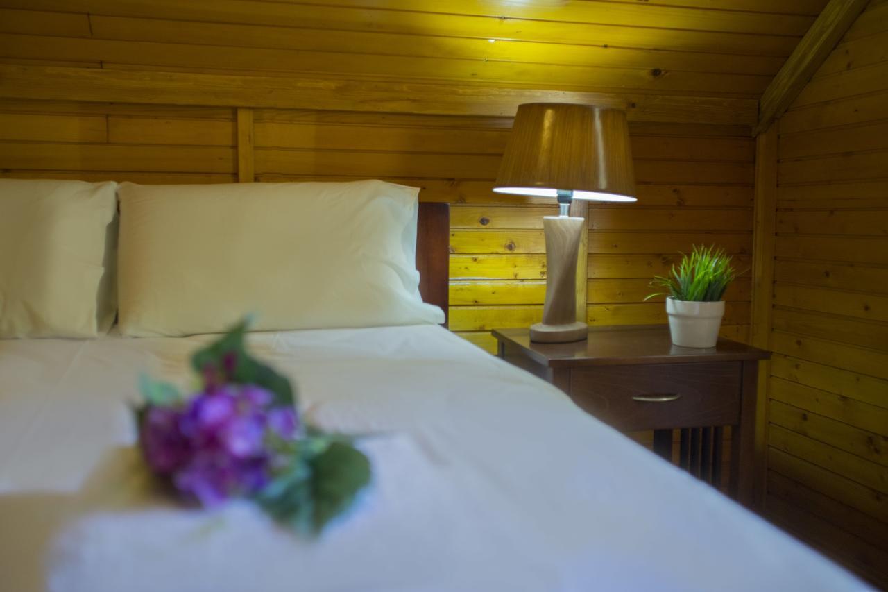 Ricky Chalet Near Troodos Spilia Bagian luar foto