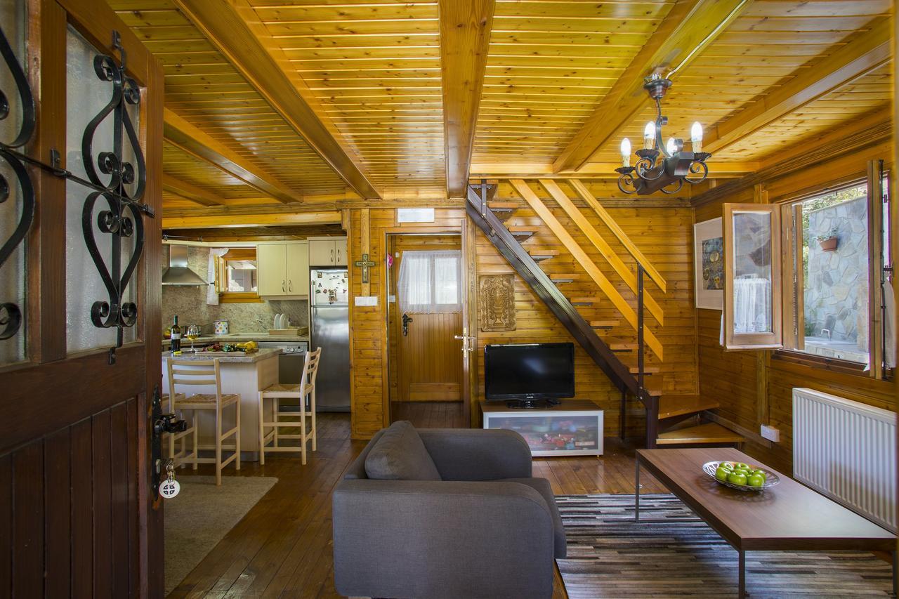 Ricky Chalet Near Troodos Spilia Bagian luar foto