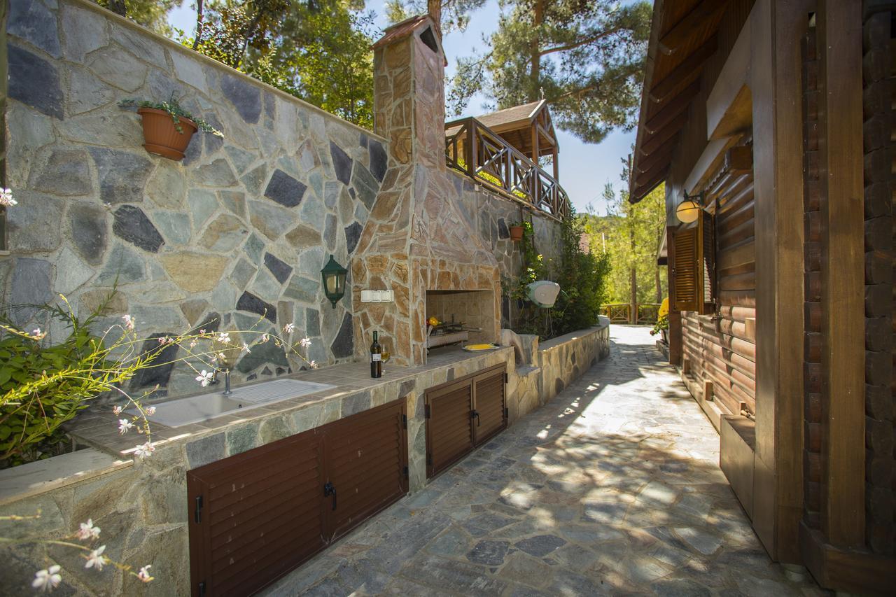 Ricky Chalet Near Troodos Spilia Bagian luar foto